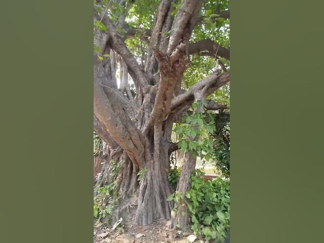 Video thumbnail for #Movie?