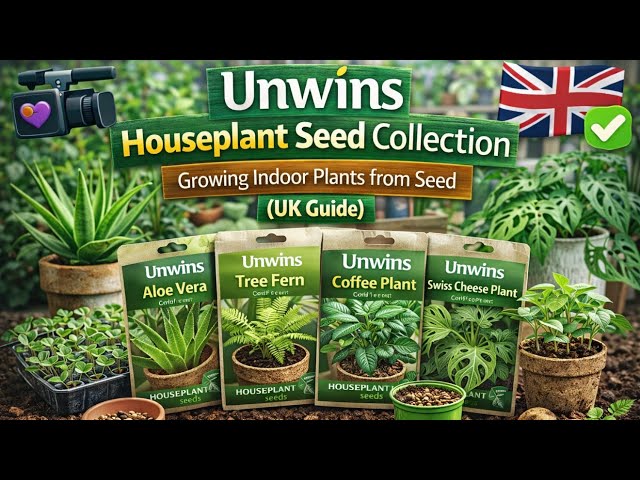 Video thumbnail for Growing Houseplants from Seed | Indoor Plant Seed Starting Guide
