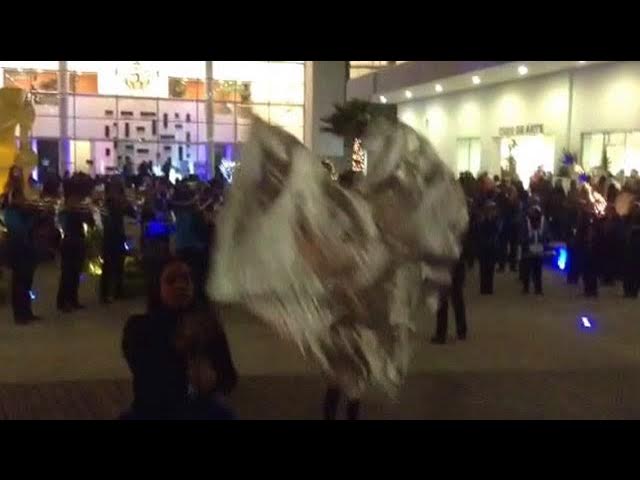 Video thumbnail for Minerva Marching band encendida del arbol CCU 2017 (3)