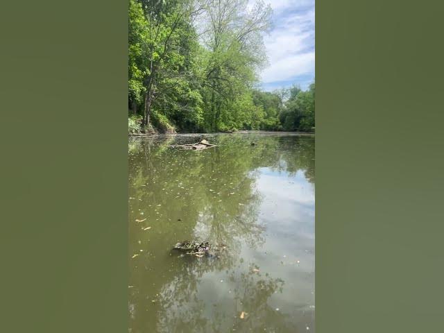 Video thumbnail for Vacation May 2025 Mohawk River Channel IMG 0007