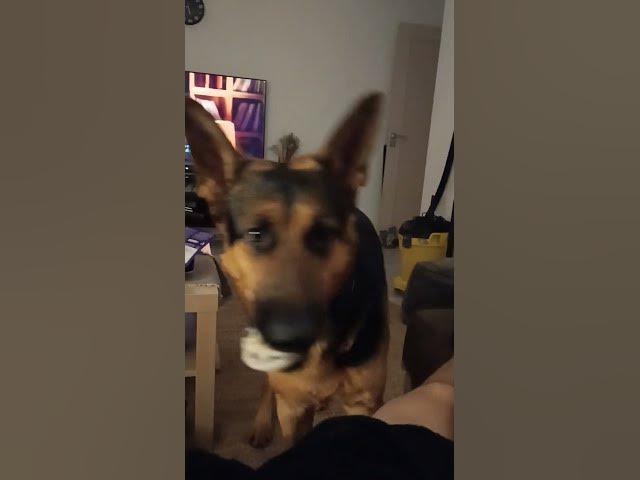 Video thumbnail for GSD 101 VID 20231128 185706