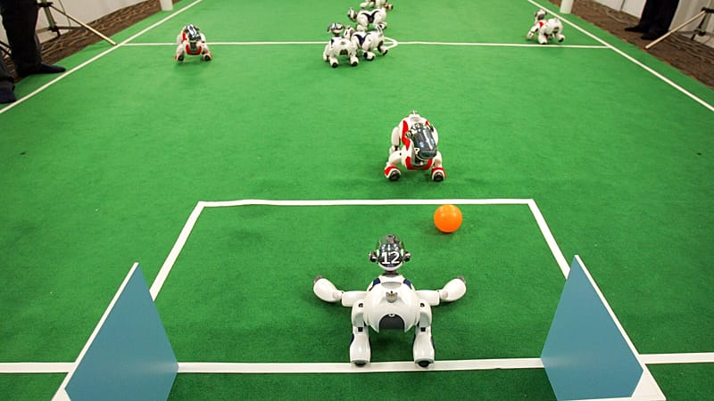 Video thumbnail for AI creators step up calls for a slowdown as fears of a rogue takeover grow
