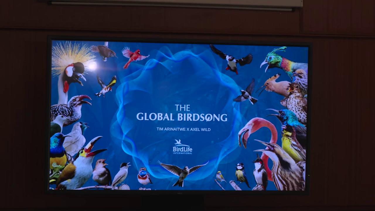 Video thumbnail for Kenya: Migratory Birds Face Extinction Threat in Nairobi.