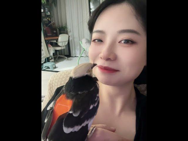 Video thumbnail for How Funny ๐๐๐คฃ