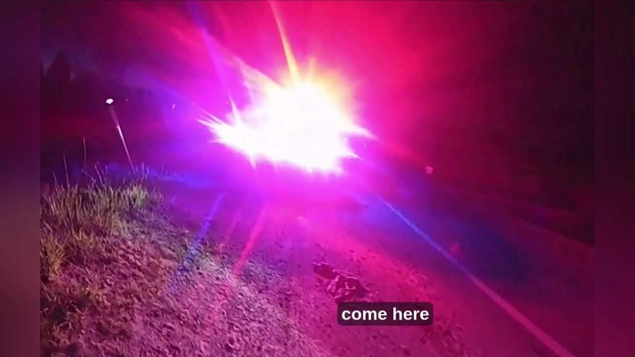 Video thumbnail for US: Cop Rescue Orphaned Fawn After Road Crash.