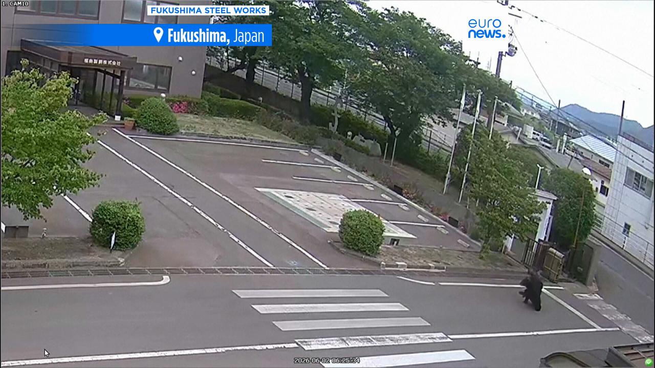 Video thumbnail for Moment bear chases and attacks workers in Japan