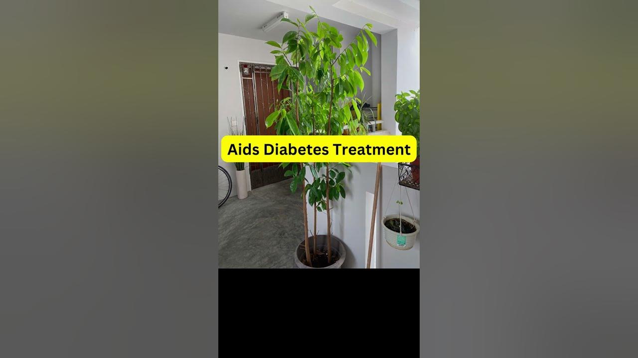 Video thumbnail for Health Benefits of Soursop Leaves || #shorts #short