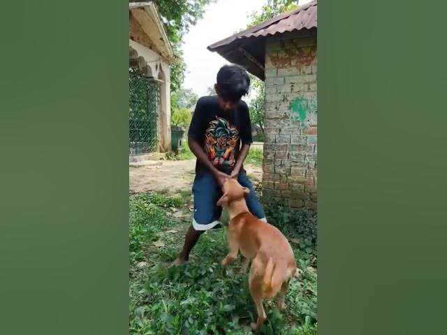 Video thumbnail for #freefireðððð¿ð¿ððððððððð¥²ð