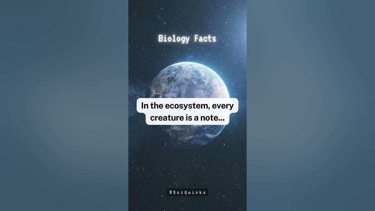 Video thumbnail for Theatre | Life | Ecosystem | #shorts #facts #science #quotes