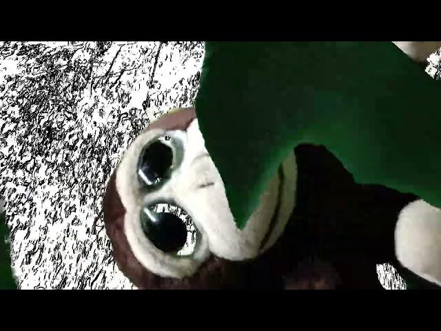 Video thumbnail for West Pond Dock Squatters - Walking