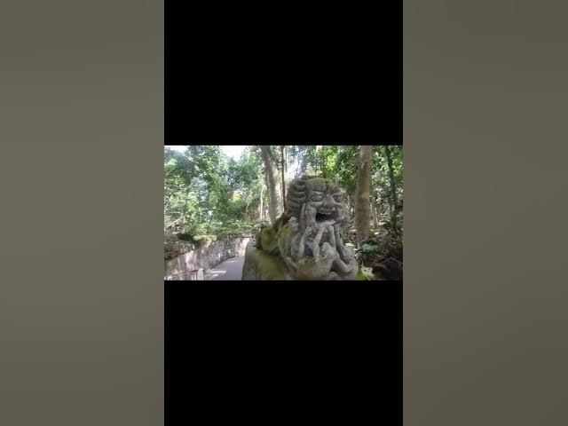 Video thumbnail for ☀️ Sunlight Through the Canopy — Jungle Walk in Sacred Monkey Forest