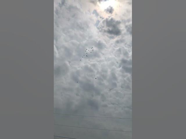 Video thumbnail for February 6, 2024