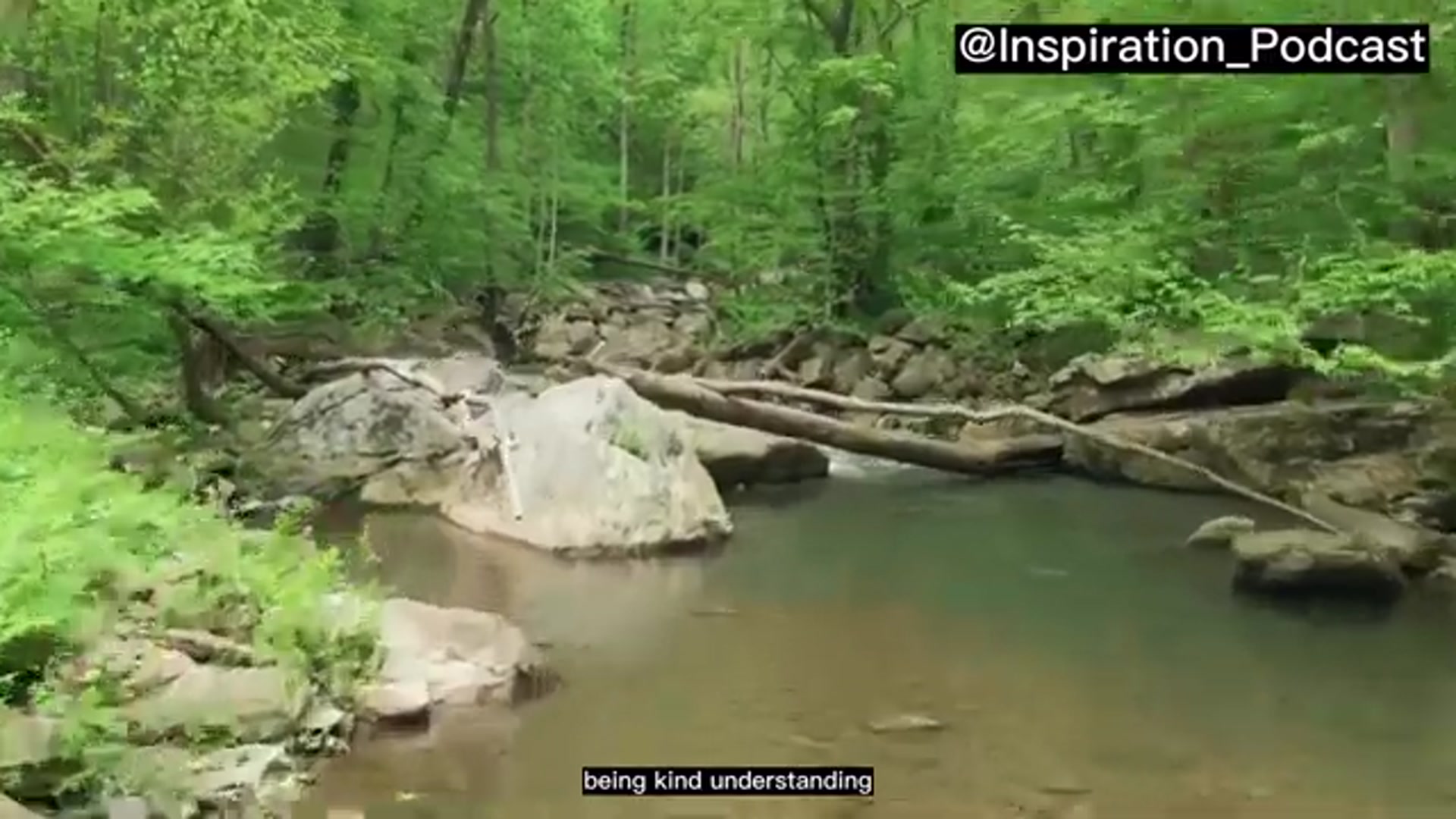 Video thumbnail for How to Practice Mindful Self-Compassion And Find Happiness