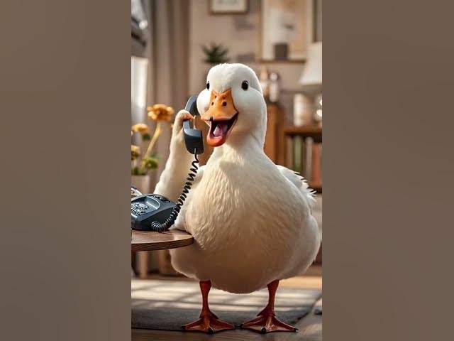 Video thumbnail for cat and rabbit 🐇###foryou