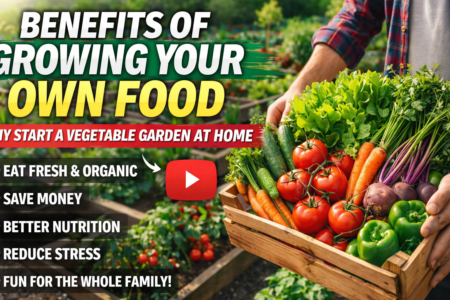 Video thumbnail for Gardening Q&A | Common Gardening Questions Answered & Practical Advice