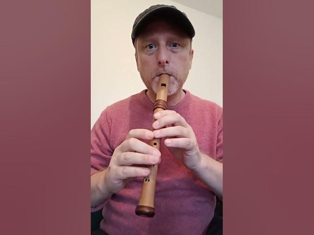Video thumbnail for The Cook In The Kitchen Irish Jig on Descant Recorder