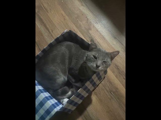 Video thumbnail for September 20, 2025