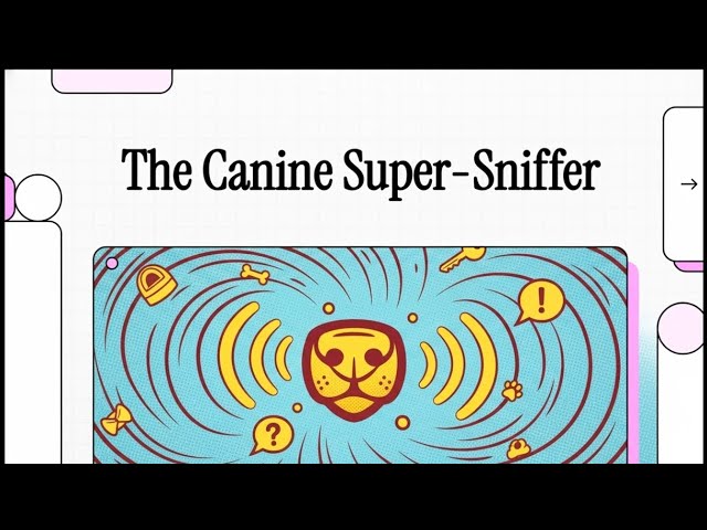 Video thumbnail for How Far Can Dogs Smell?