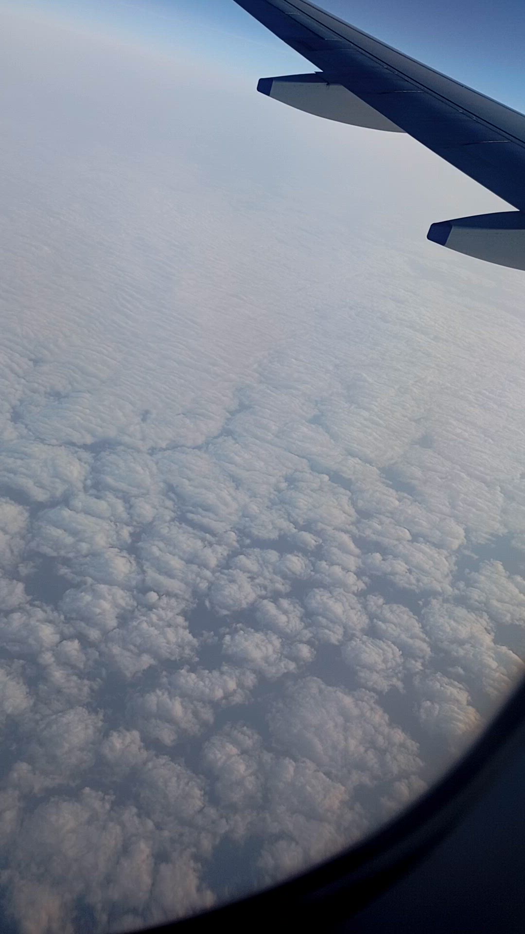 Video thumbnail for 1000107740