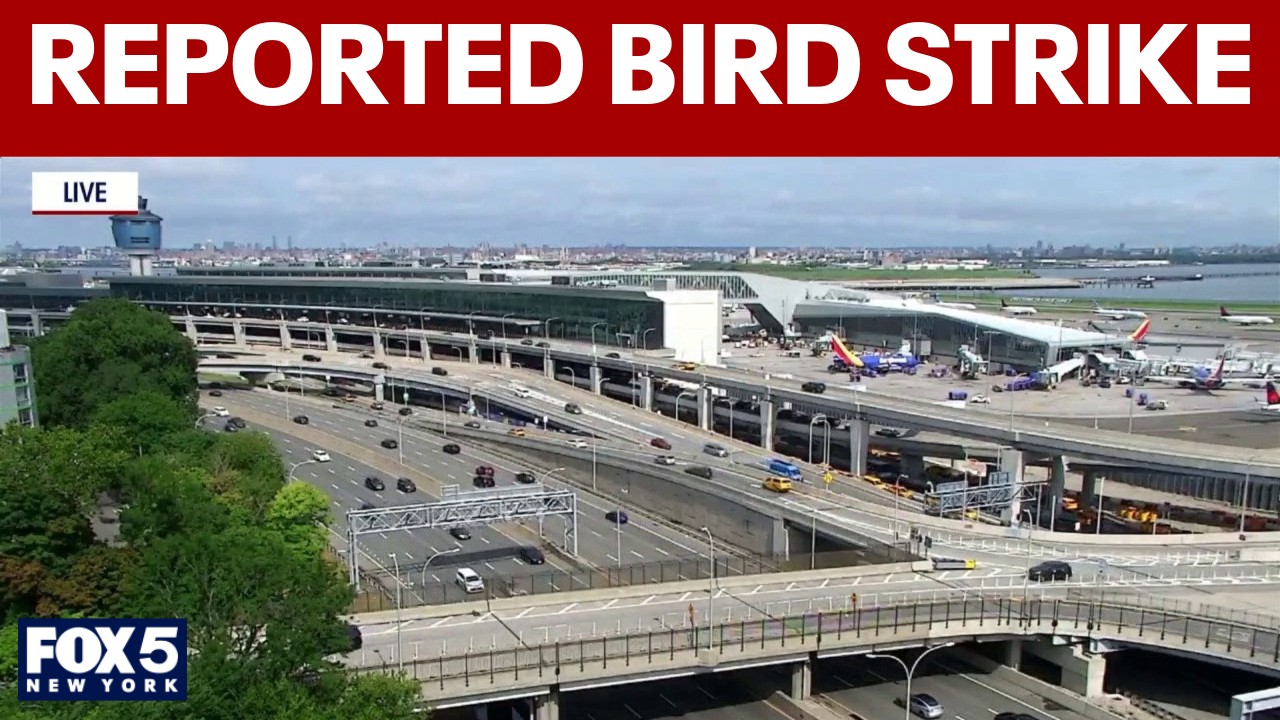Video thumbnail for Flight aborts takeoff at LGA after reported bird strike, FAA says