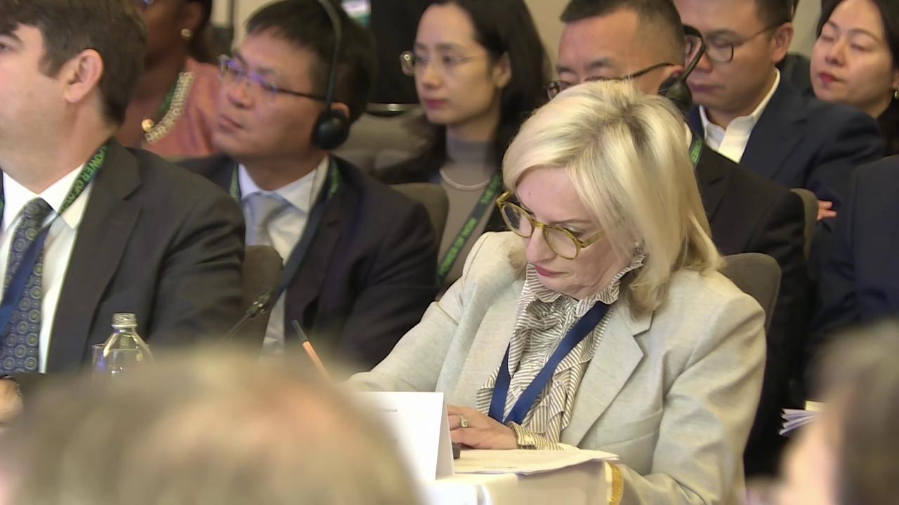 Video thumbnail for Australia: Australian figures hail China's green development as boon to world.