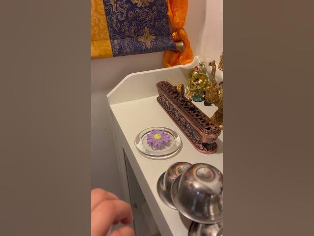 Video thumbnail for 30 June 2025