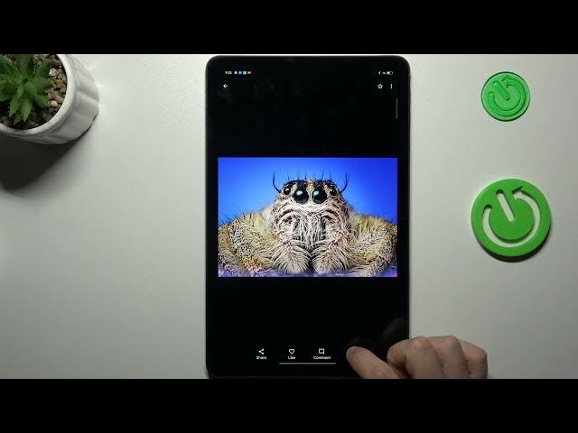 Video thumbnail for Perform Reverse Google Image Search on OPPO Pad Air - Google Search