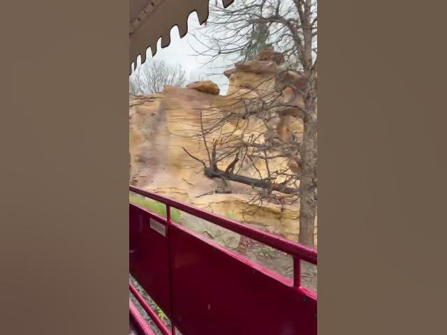 Video thumbnail for Rainy Day Train Ride at Disneyland