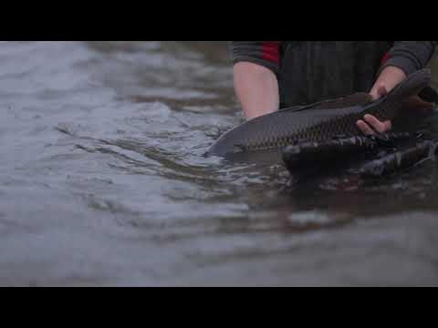 Video thumbnail for 5538262 hd 1920 1080 25fps