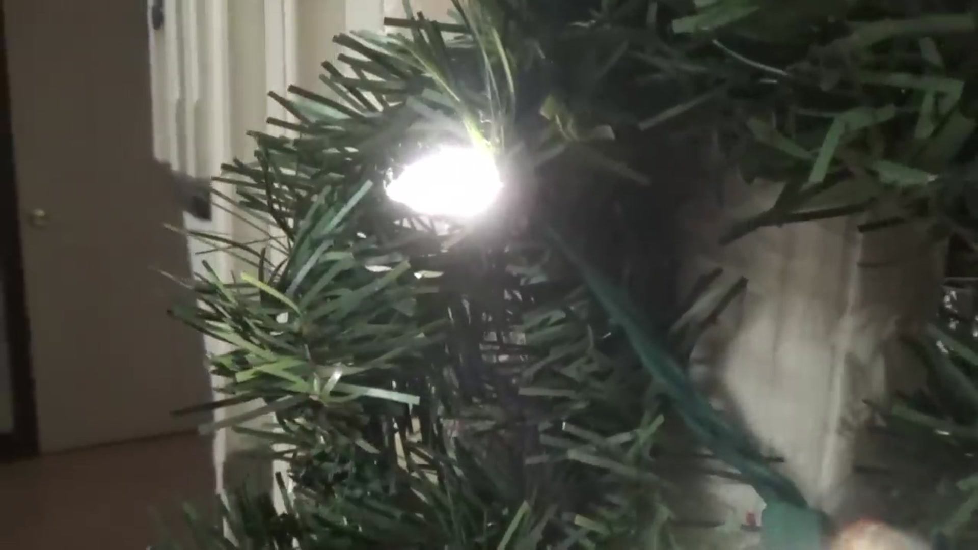 Video thumbnail for ⭐4 Ingredient French Onion Pork Chops   Homemade Chocolate Covered Cherries better than Queen Anne 🤶(720P HD)