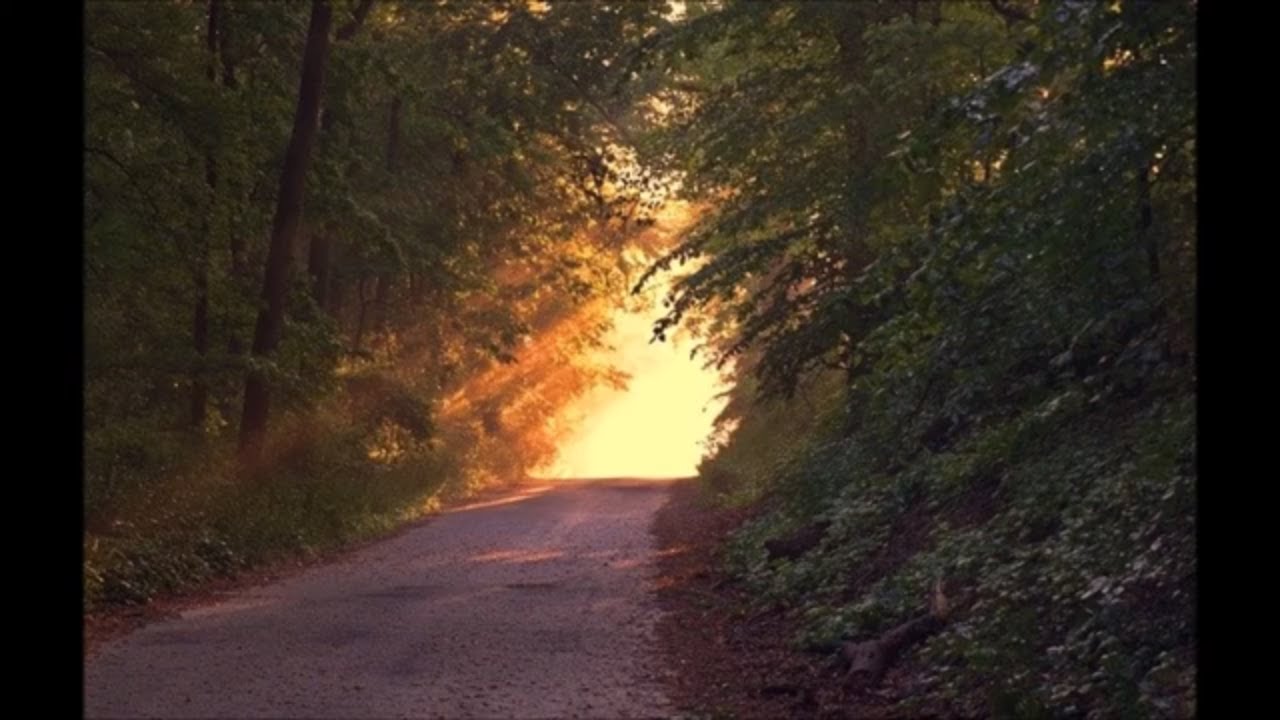 Video thumbnail for Meditation Music, Relaxing Music, Calm Music, Sleeping Music, Zen Music, Spa Music, Relax Mind Music