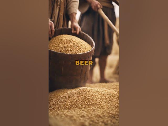 Video thumbnail for The History of Beer: Ancient Origins to Modern Popularity