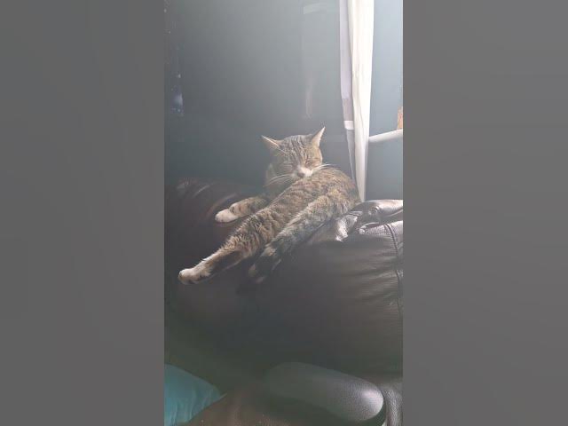 Video thumbnail for The dream team...chilling & relaxing