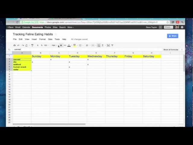 Video thumbnail for Introduction to Google Docs Spreadsheets