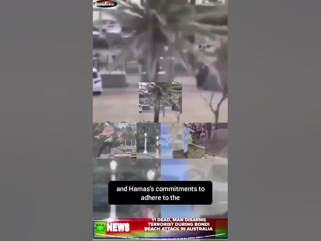 Video thumbnail for 11 Dead, Man Disarms Terrorist During Bondi Beach Attack In Australia