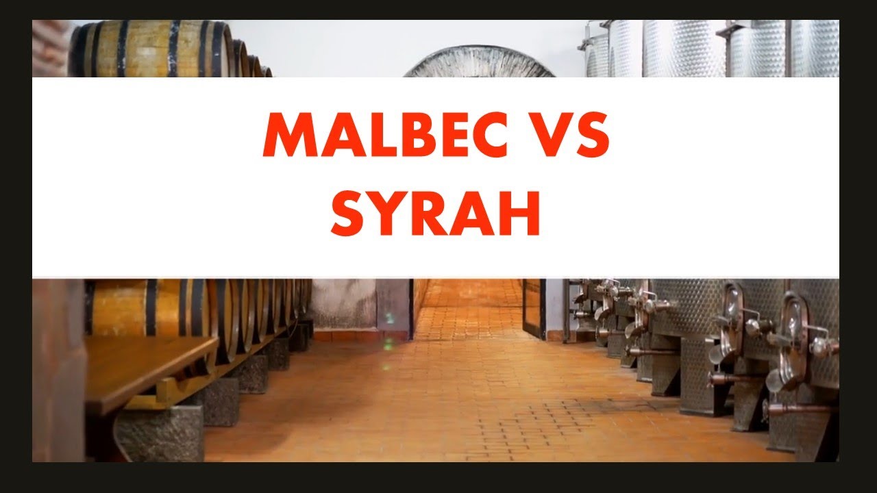 Video thumbnail for Malbec vs Syrah Wine | Quick Sip