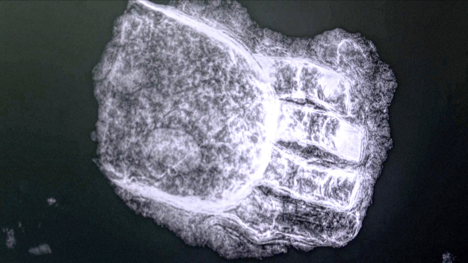 Video thumbnail for Southern Germany Construction Site Uncovers 500-Year-Old Prosthetic Hand