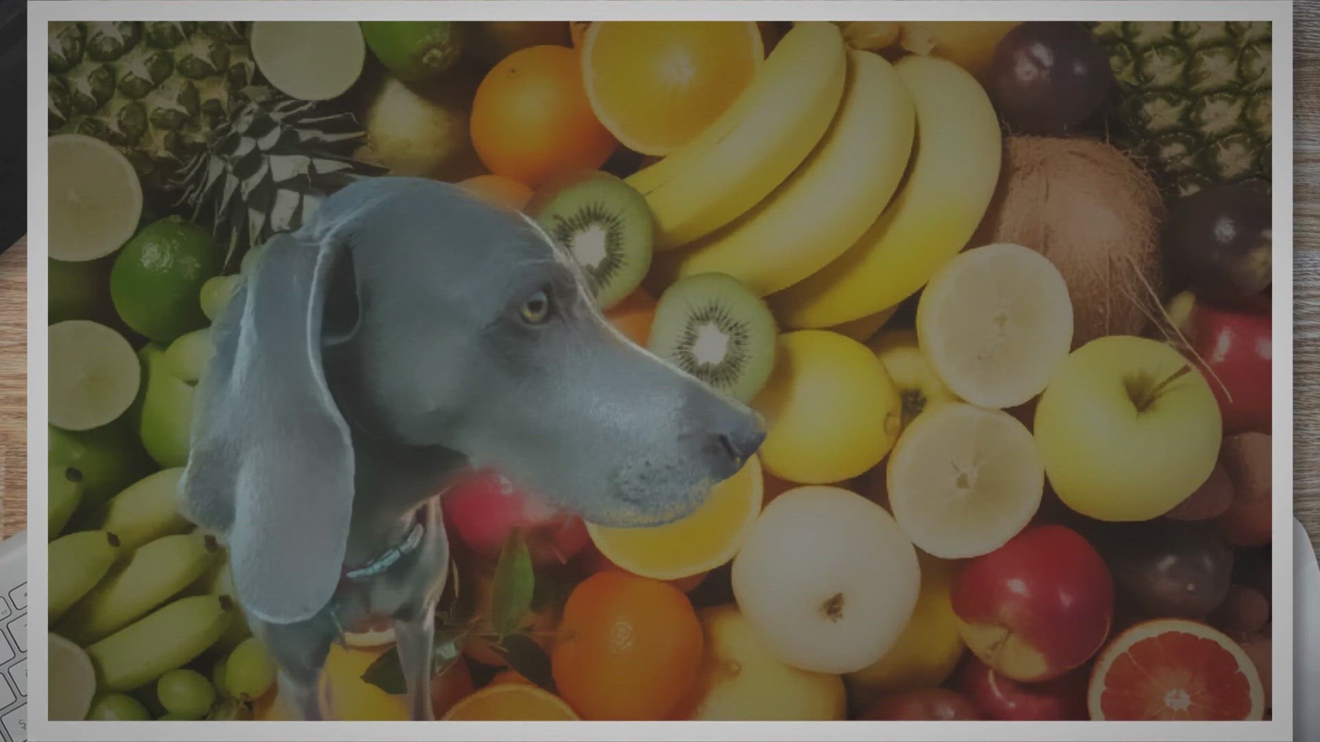 Video thumbnail for Untitled