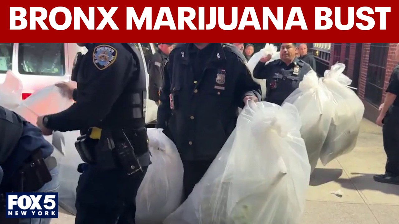 Video thumbnail for Authorities find illegal marijuana grow house in Bronx apartment during eviction