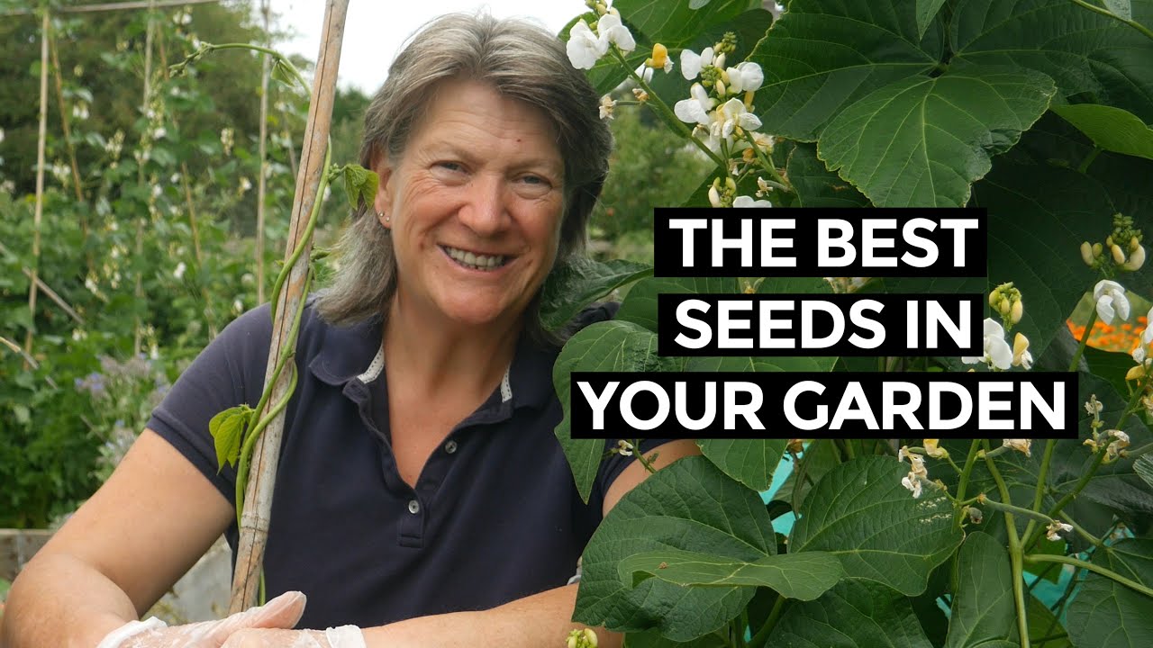 Video thumbnail for Saving seeds | Seed Saving All Year Round | Seeds to Save in July