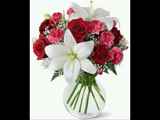 Video thumbnail for القراءة النصية لكتاب سيبويه 4