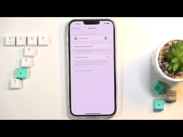 Video thumbnail for How to Download Languages to Translate Offline in iPhone 13 Pro Max?