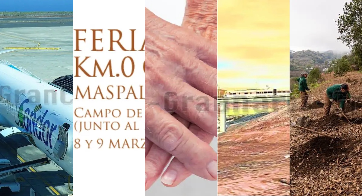 'Video thumbnail for Gran Canaria Wochenrückblick vom 23-2-25'