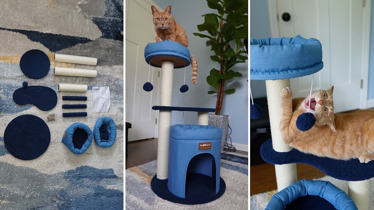 'Video thumbnail for Does Tiger Like This Clevahome Cat Tree?'