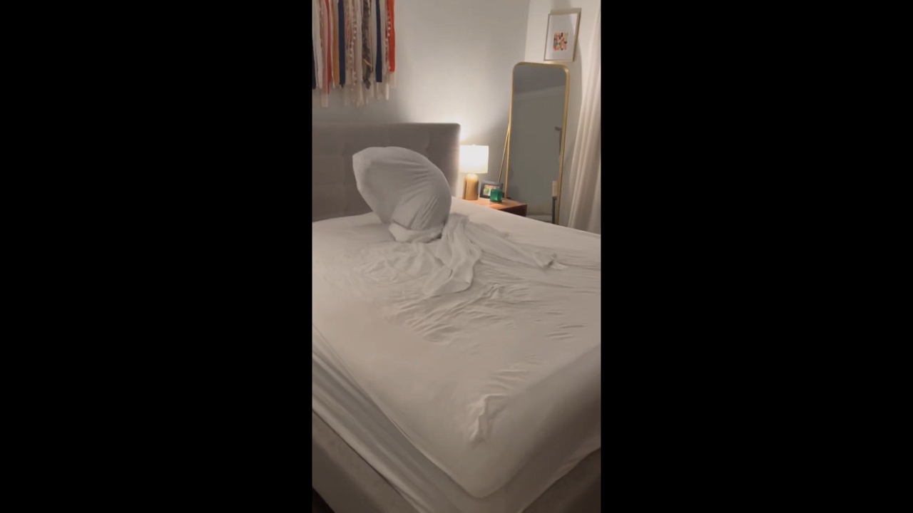 Video thumbnail for Dog’s Attempt to Escape Wrapped in Bed Sheets Ends in Hilarious Fail