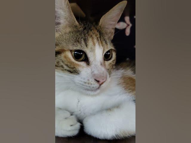 Video thumbnail for 17 January 2024