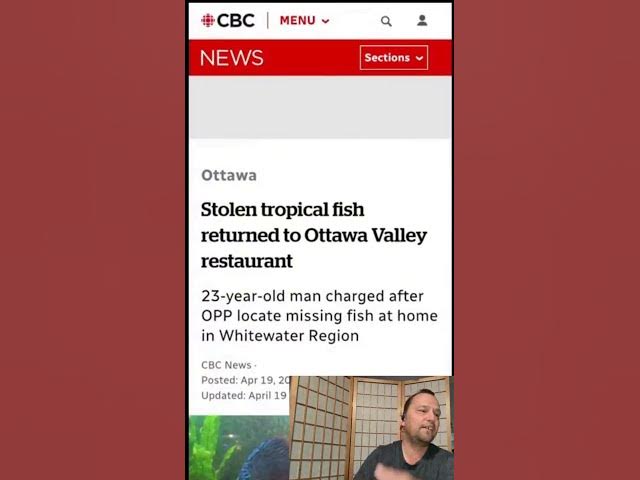 Video thumbnail for Fish Stolen from Ottawa Restaurant #fishtalk #fishkeeping #news #shorts