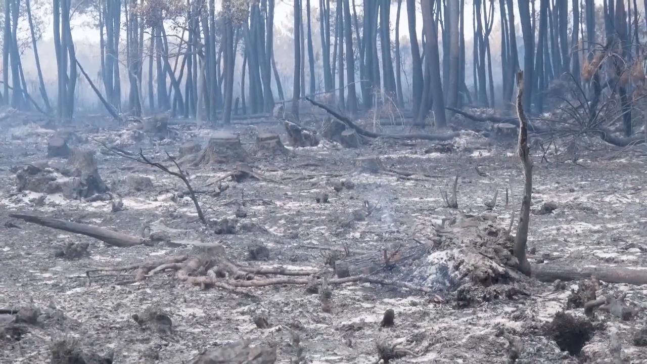 Video thumbnail for France: French PM says wildfires “under control”.