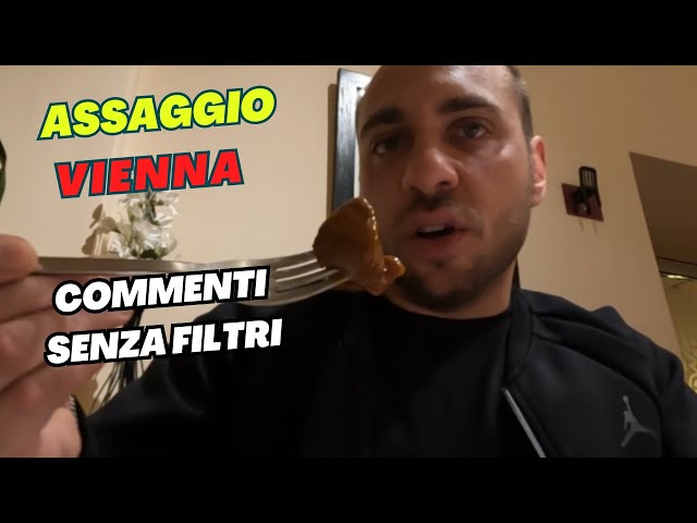 Video thumbnail for Cena Tradizionale VIENNA Commento sincero