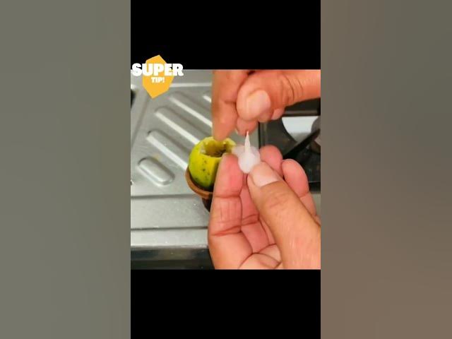 Video thumbnail for December 16, 2023